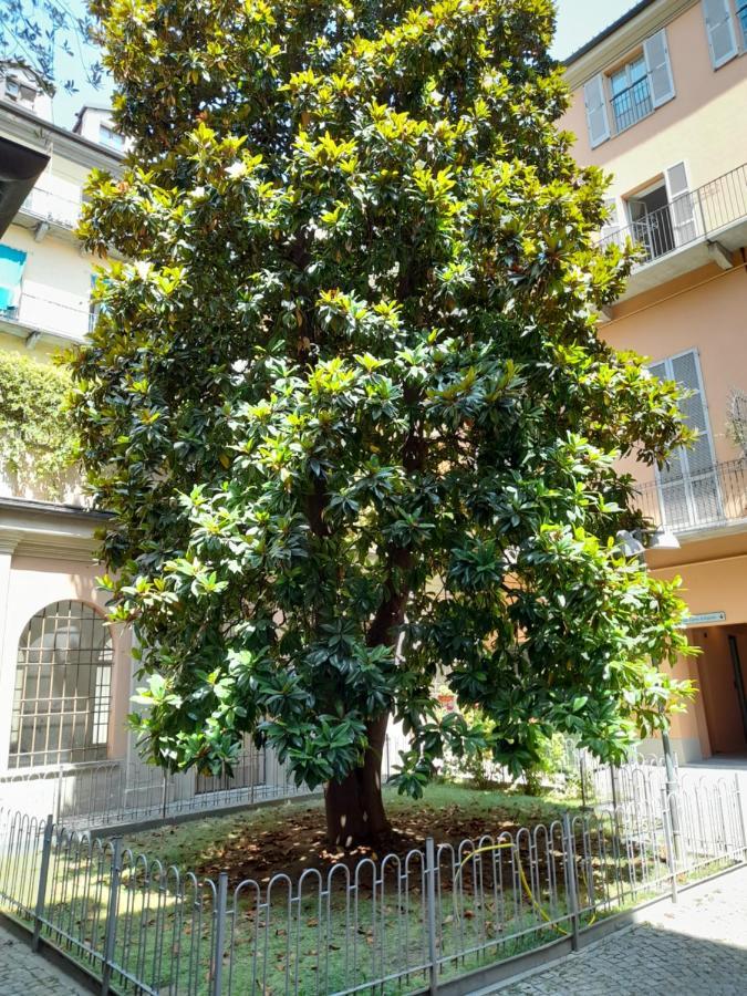 Central Garibaldi Loft, A Piedi A Palazzo Reale Turin Bagian luar foto